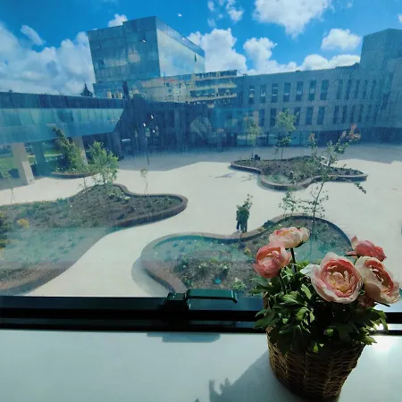 A Window To - Premium Downtown 公寓 波尔图