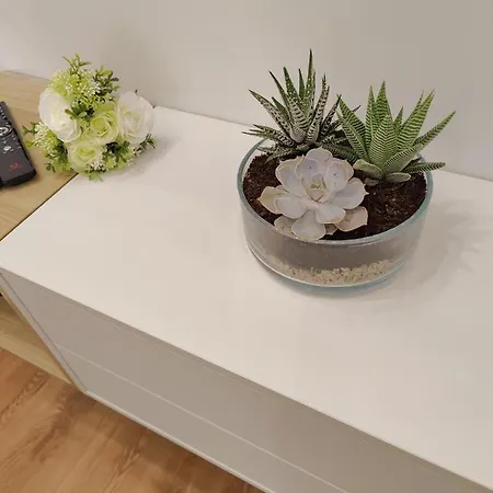 公寓 A Window To - Premium Downtown 波尔图