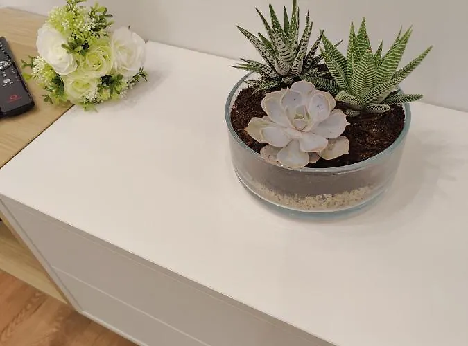 Lejlighed A Window To - Premium Downtown Porto